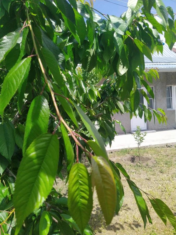 Vanand Guest House Gyumri Ngoại thất bức ảnh